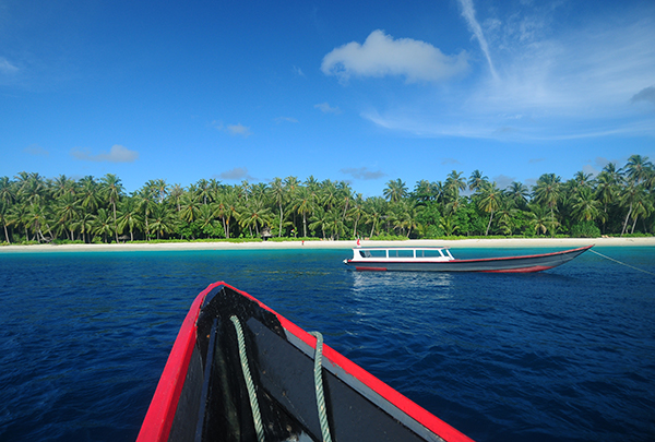 mentawai-marine-ocean