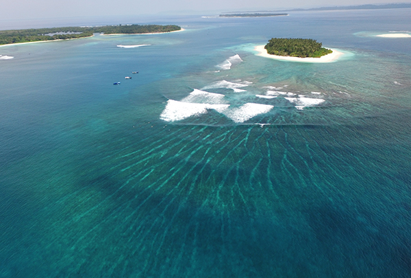 aframes-mentawai