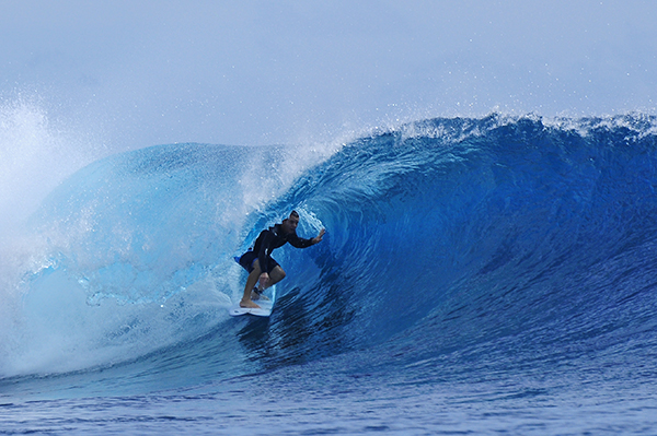 Doooog in the shade. | Shot of the Day