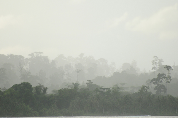 surf-mentawai-wavepark-island-island life-mist