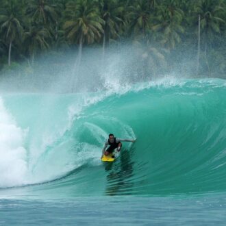 ebay mentawai